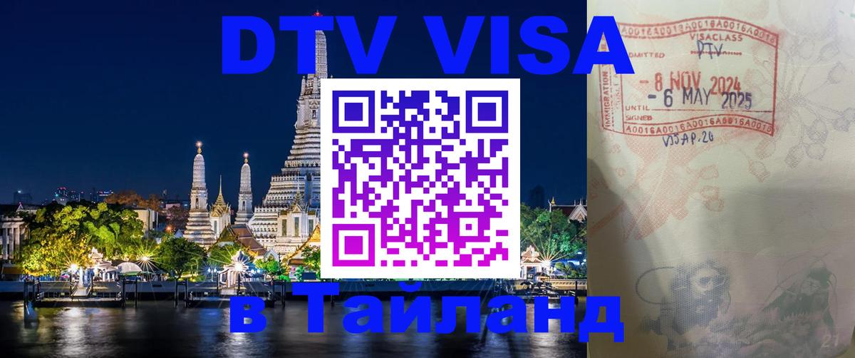 Оформление DTV визы под ключ: стоимость и тарифы, только загранпаспорт - Новочеркасск  21.11.2025 